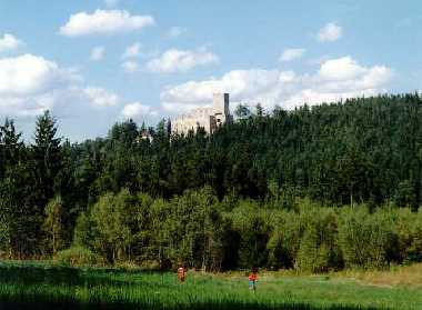 Die Burg Landstejn inmitten der Wälder